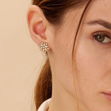 Small Cosmic Starburst Studs